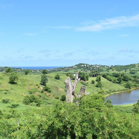 Bungalow La Paillote Le François 外观 照片